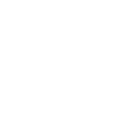 Vision